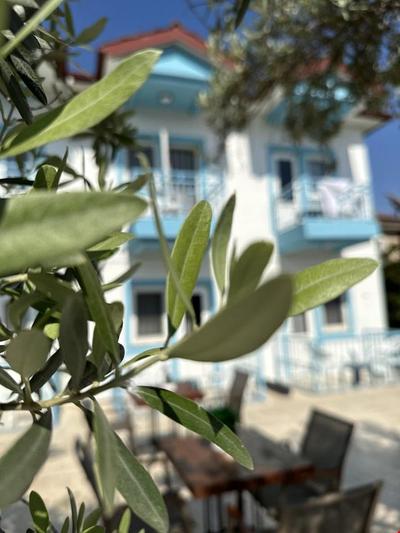 Enjoy Hotel