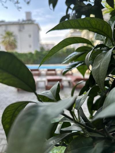 Enjoy Hotel