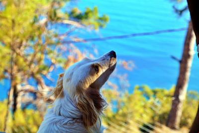 Kabak Ütopya Otel