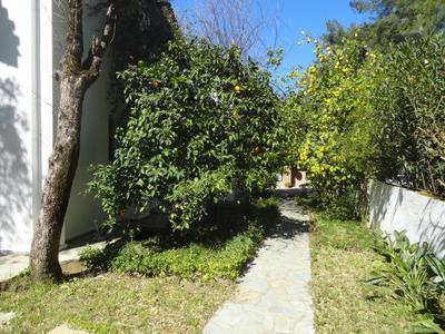 Karadaki Ada