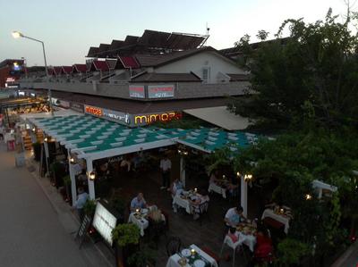 Mimoza Hotel