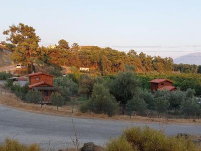 Olive Garden Bungalow