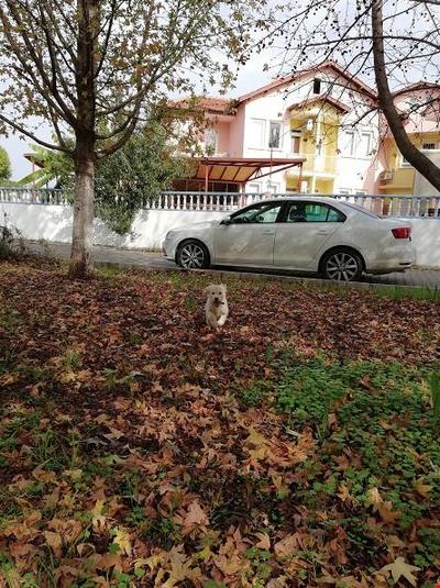 Şato Apart Hotel