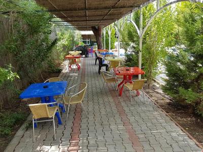 Silver Pine Hotel (Alkolsüz)