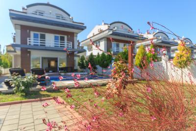 Tala Villa 12
