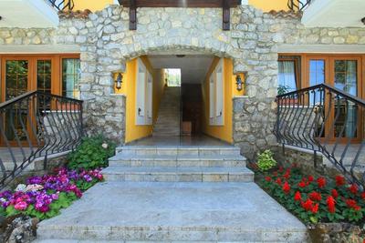 The Olive Tree Studios