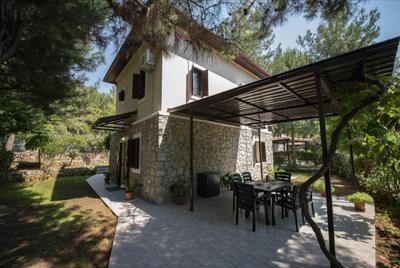 The Village