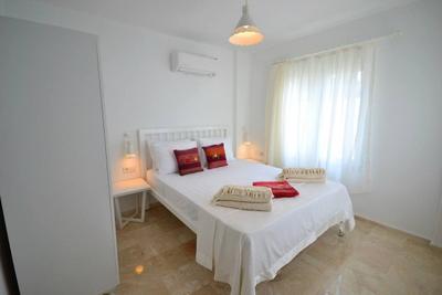 Premium Villa 1