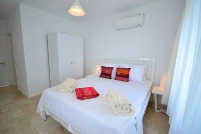 Premium Villa 1
