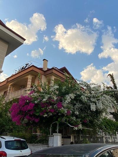 Gültaş 4