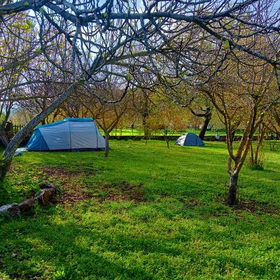 Ya Basta Camping