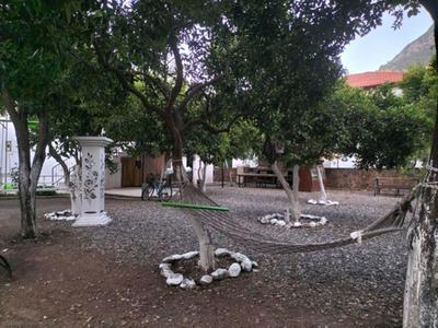 Soul Green Otel