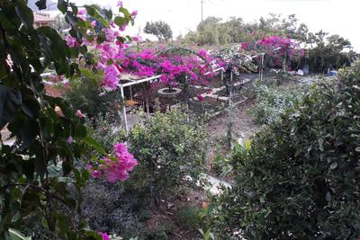 Aşkım Pansiyon
