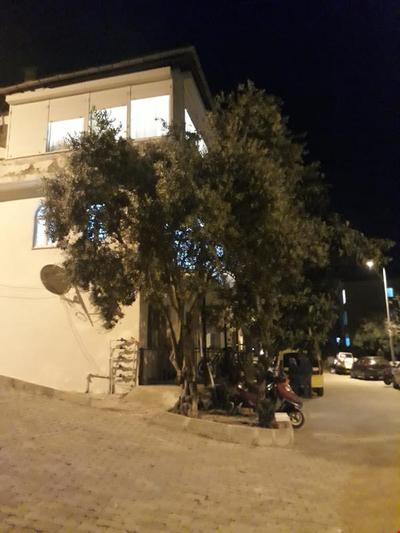 City Center Home