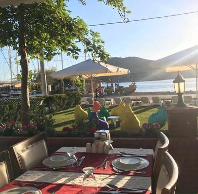 Defne Lorina Otel