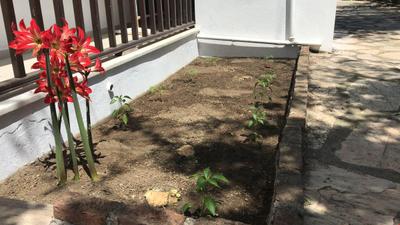 Deniz Kızı Pansiyon