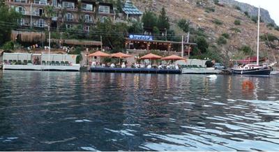 Dolphin Hotel