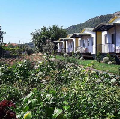 Gülsüm Hanim Evleri