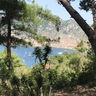Selimiye Orman Evleri