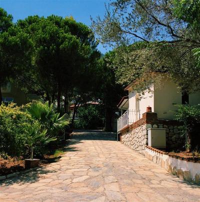 Pine Beach Turunç