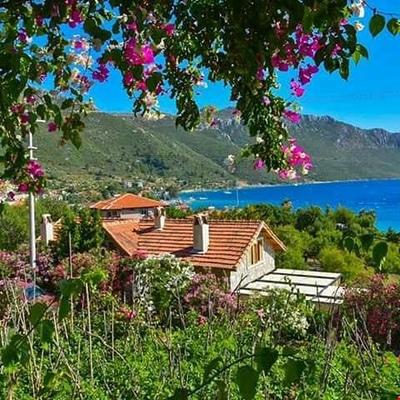 Söğüt Ada Pansiyon ve Apart