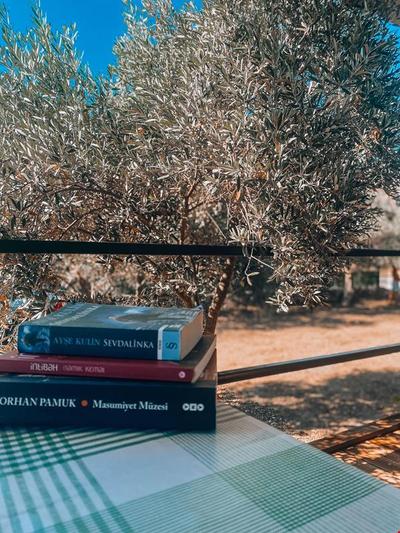 Sogut Tinyhouseglamping