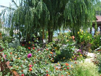 Yunus Apart Selimiye