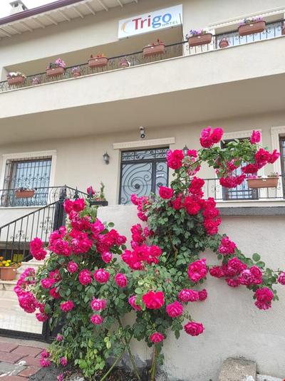 Trigo Hotel