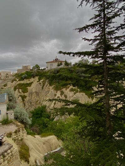 Cappalace House