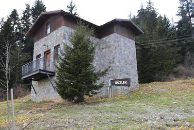 Cambasi Armutalan Dag Evleri
