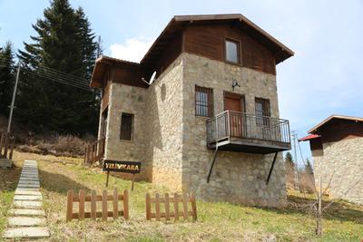 Cambasi Armutalan Dag Evleri