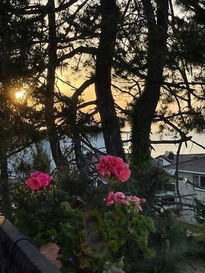 Lalezar Sea Garden Hotel