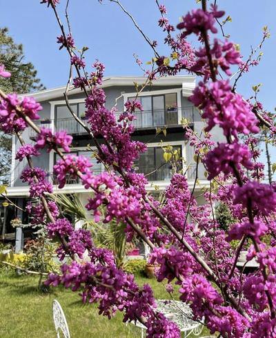 Lalezar Sea Garden Hotel