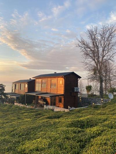 Delmare Suit Villa