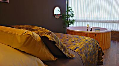 Fenix Loftspa
