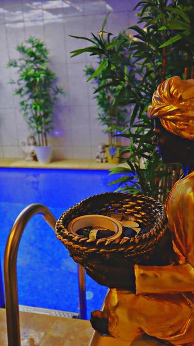 Fenix Loftspa