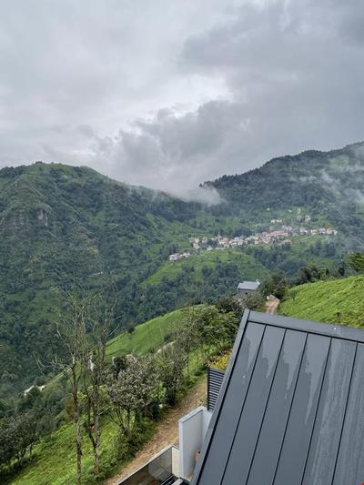 Forest Bungalov