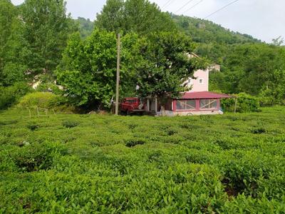 Topçu Dede Dere Evi