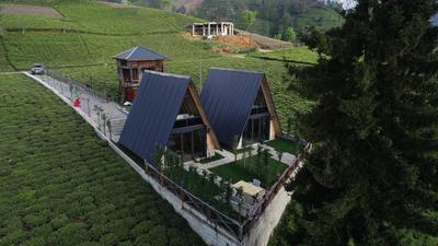 Mosa Bungalov