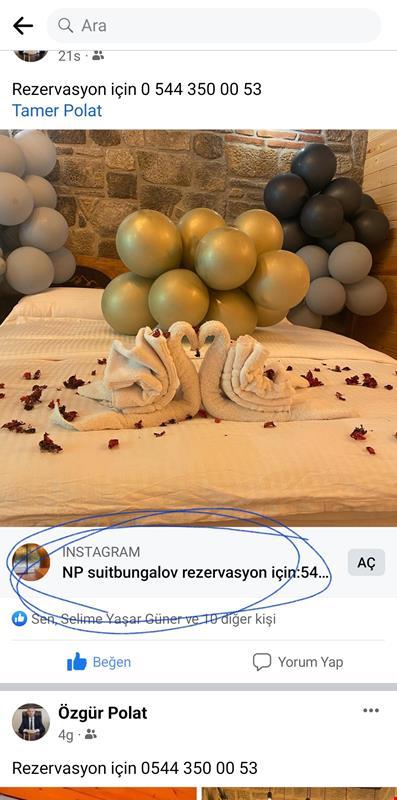 NP Suit Bungalov