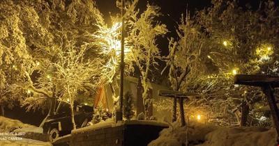 Oruba Bungalov