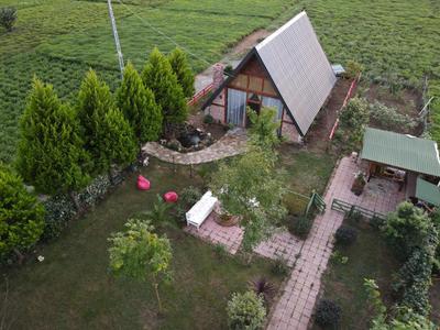 Tenora Bungalov