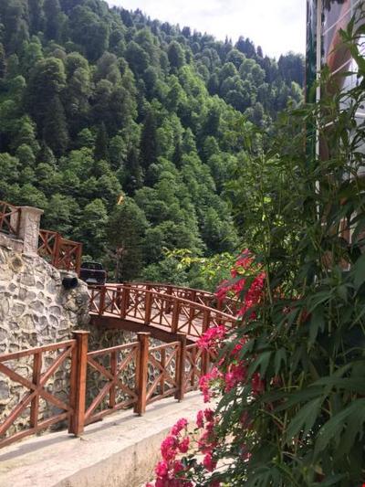 Ayder Bulut Dağ Evi