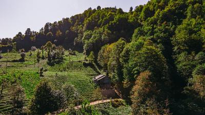 Efsun Tas Konak