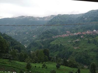 Merze Villa