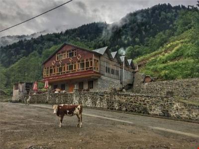 Meydan Şimşir Bungalov