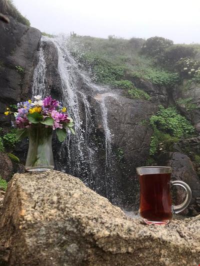 Mola Cafe Pansiyon