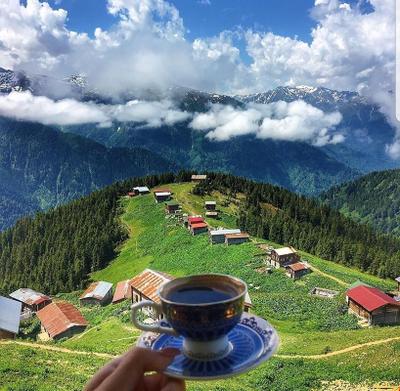 Pokut Inn Doga Evi