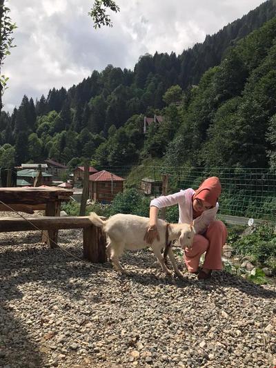 Soçi Dağ Evleri