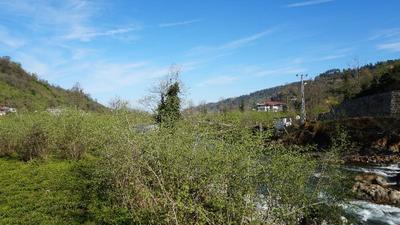 Yesil Dus Tatil Koyu